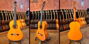 Guitare flamenca Amalio Burguet 3F